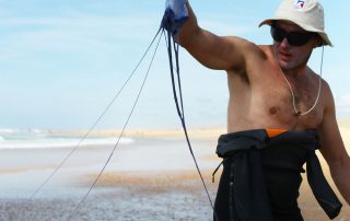 les meduses blue bottle a seignosse meduse gelly fish